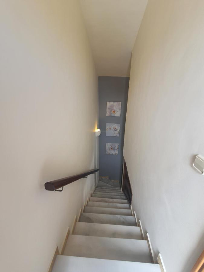 Apartamento Frida Faro Park Плая Бланка Екстериор снимка